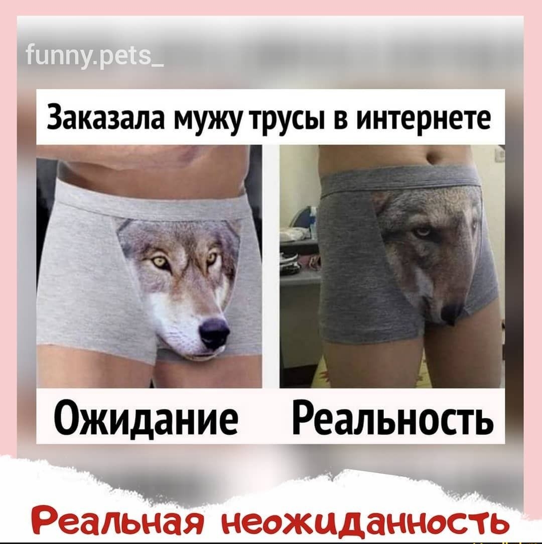 Заказала мужу трусы в интернете
Ожидание
Реальность
Реальная неожиданность