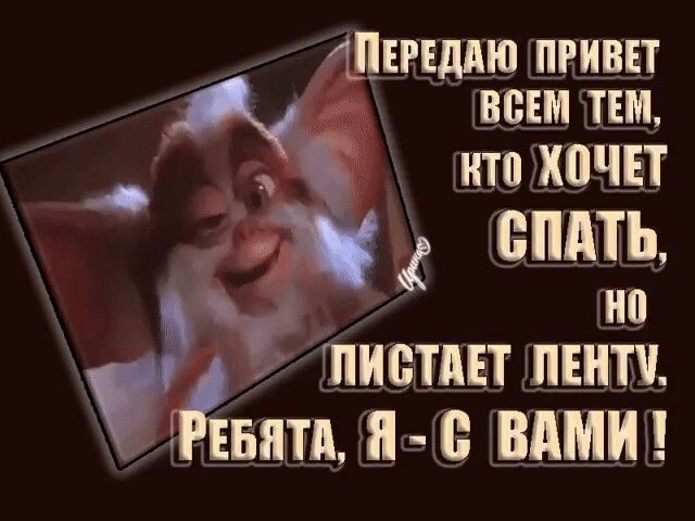 Передаю привет всем тем, кто Хочет спать, но листает ленту. Ребята, Я-С ВАМИ!