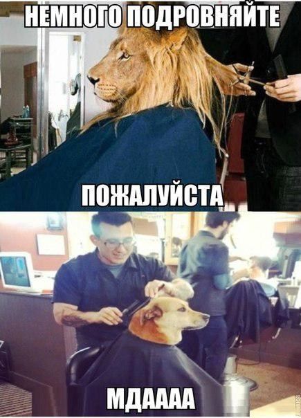 НЕМНОГО ПОДРОВНЯЙТЕ, ПОЖАЛУЙСТА... МДААА