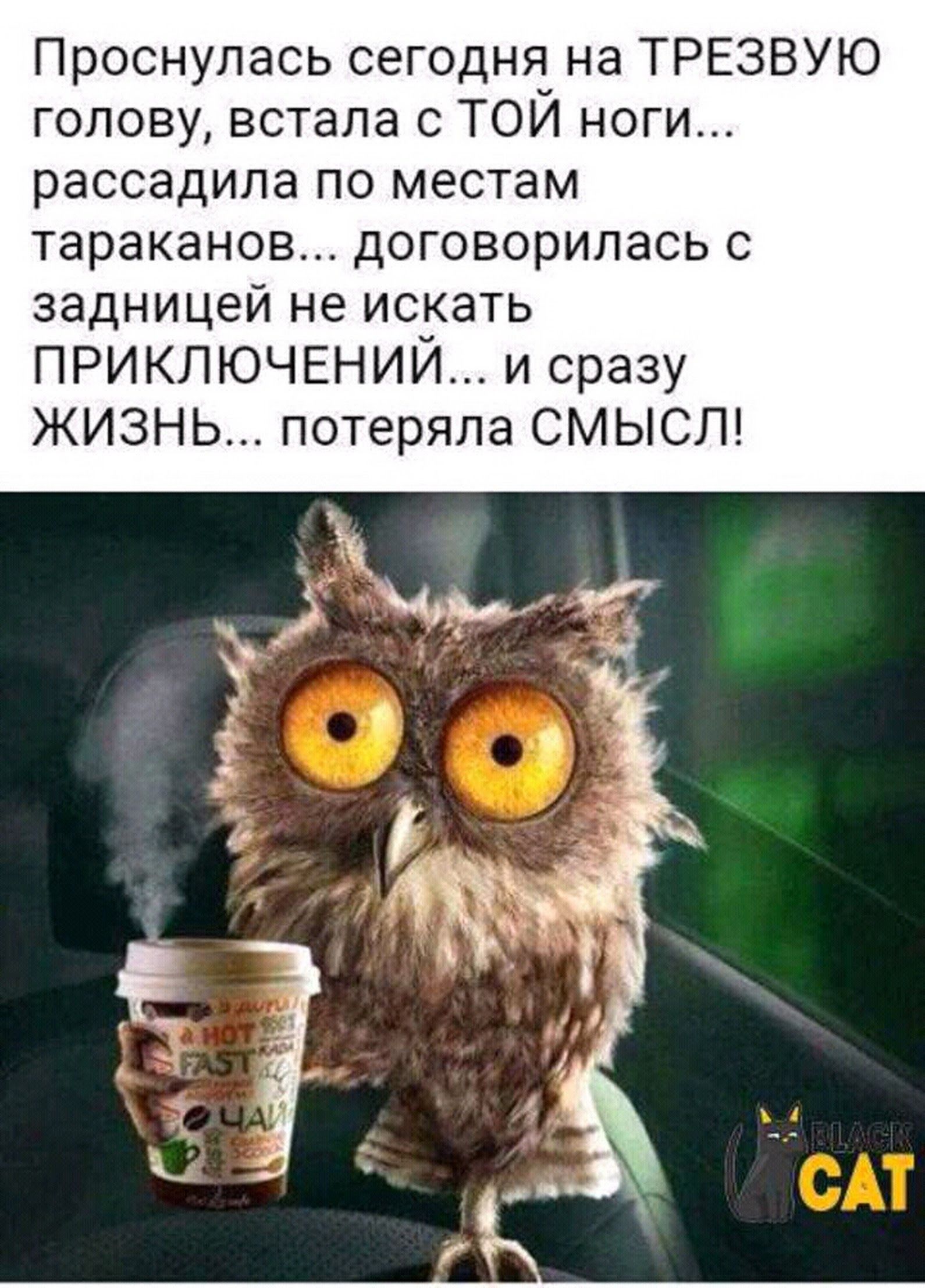 Проснулась сегодня на ТРЕЗВУЮ голову, встала с ТОЙ ноги... рассадила по местам тараканов... договорилась с задницей не искать ПРИКЛЮЧЕНИЙ... и сразу ЖИЗНЬ... потеряла СМЫСЛ!