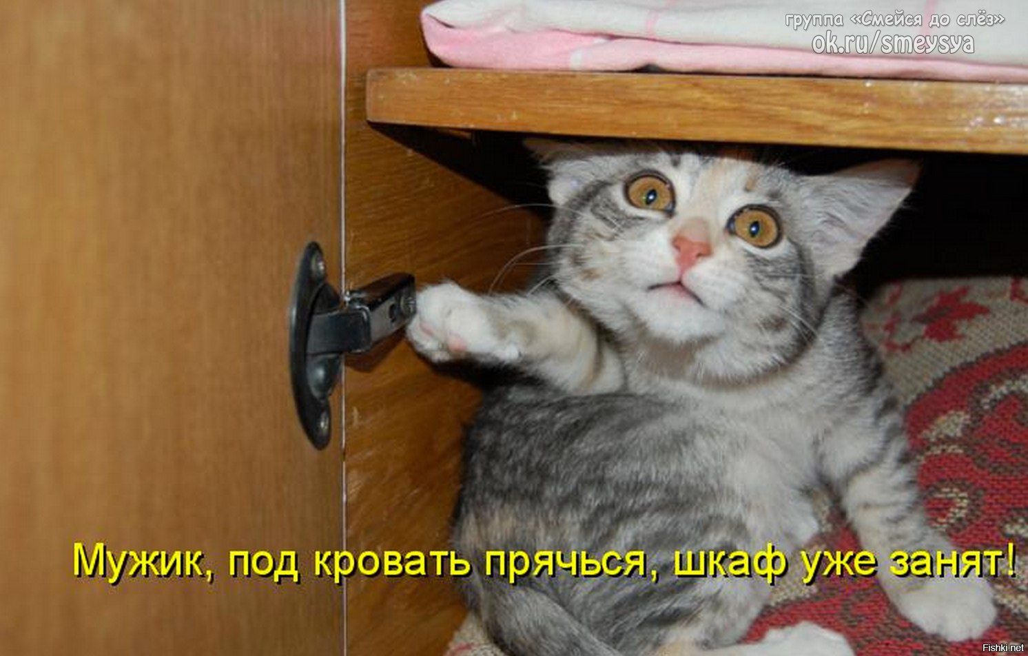 Мужик, под кровать прячься, шкаф уже занят!
