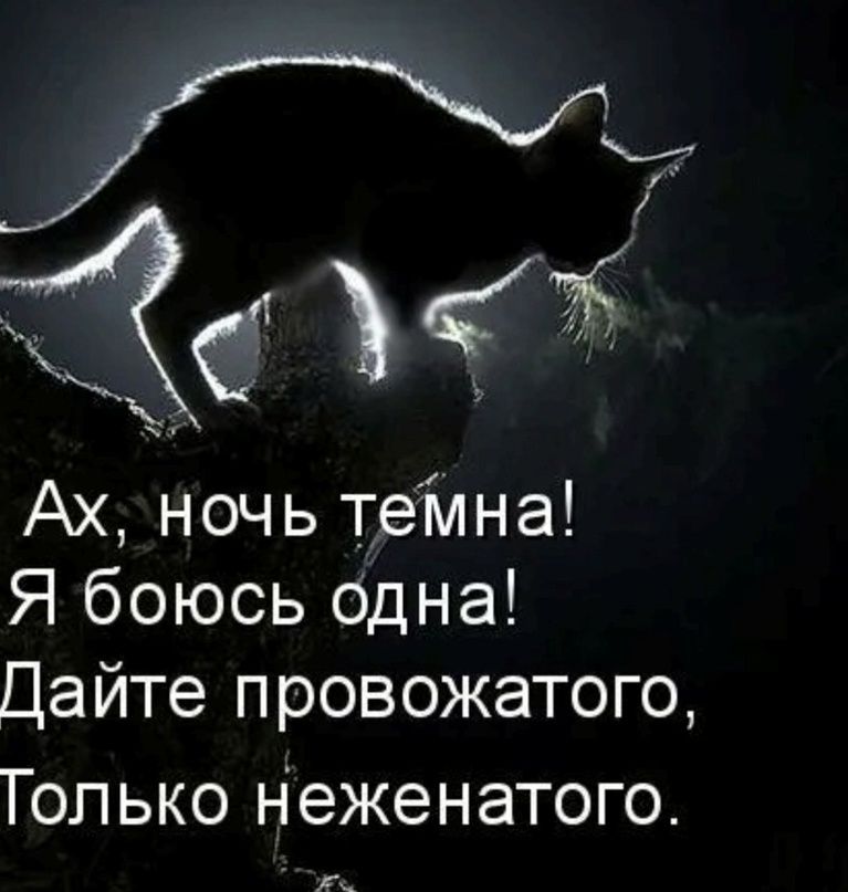 Ах, ночь темная! Я боюсь одна! Дайте проводника, Только незамужнего.