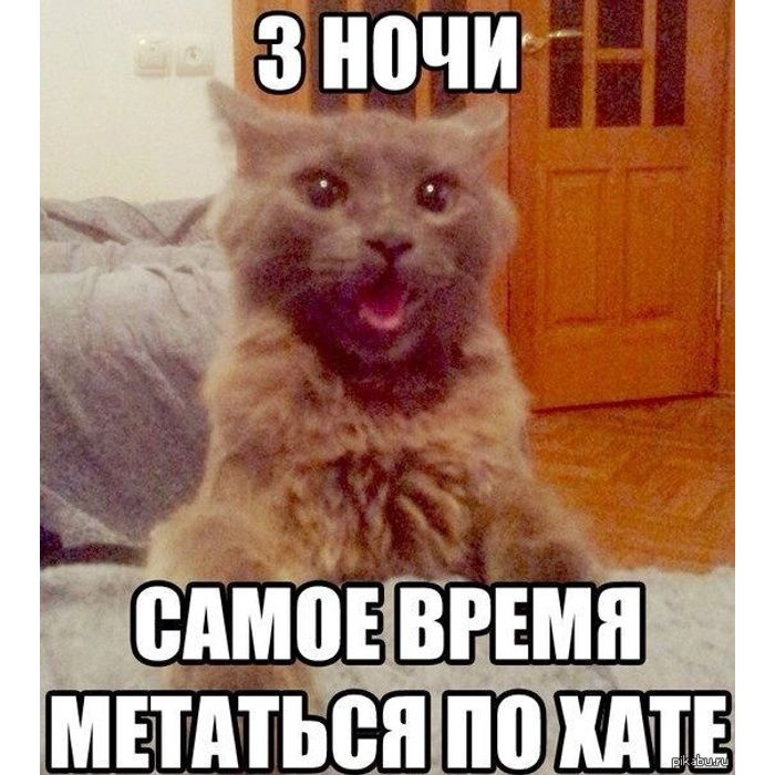 3 НОЧИ САМОЕ ВРЕМЯ МЕТАТЬСЯ ПО ХАТЕ