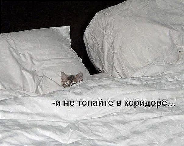 - и не топайте в коридоре...
