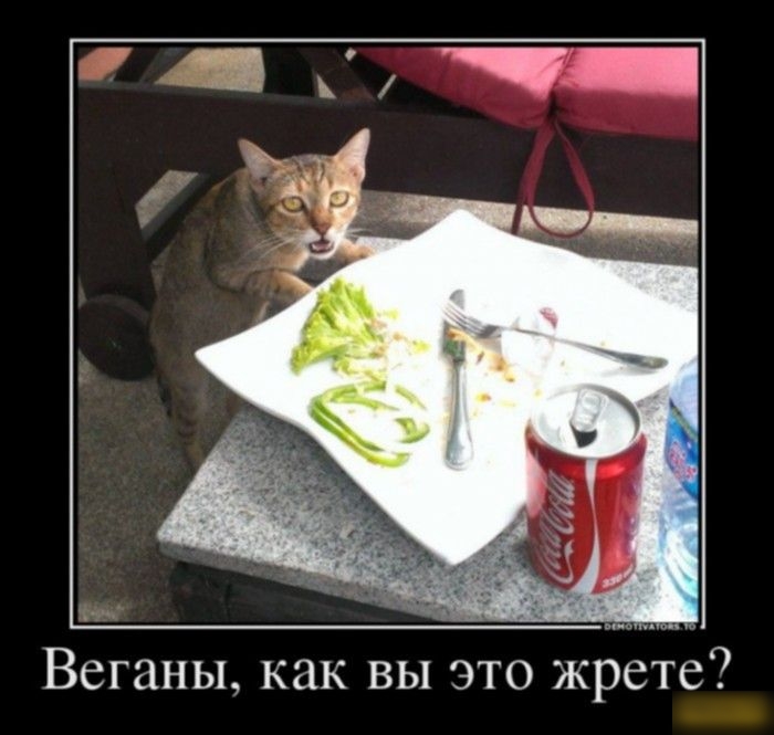 Веганы, как вы это жрете?