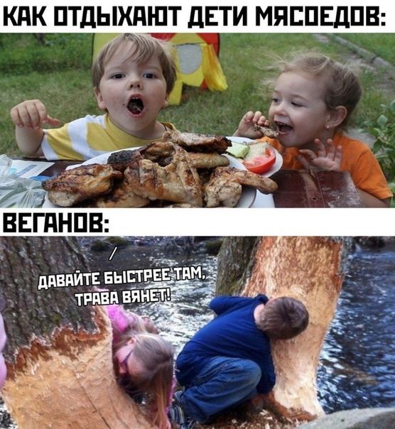 КАК ОТДЫХАЮТ ДЕТИ МЯСОЕДОВ: ВЕГАНОВ: ДАВАЙТЕ БЫСТРЕЕ ТАМ, ТРАВА ВЯНЕТ!