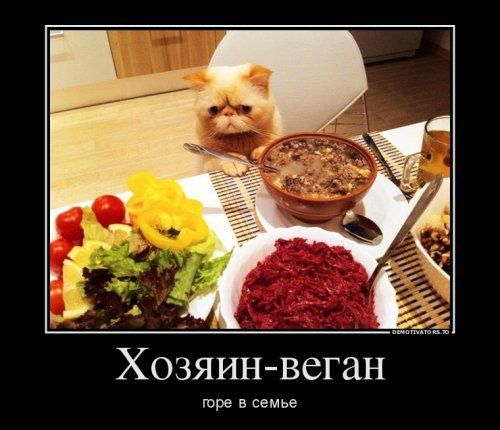 Хозяин-веган горе в семье