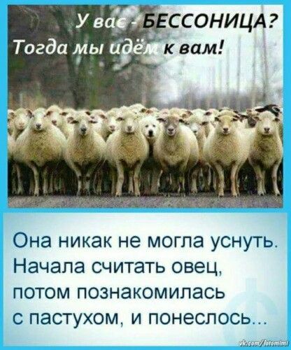 У вас БЕССОННИЦА? Тогда мы идём к вам! Она никак не могла уснуть. Начала считать овец, потом познакомилась с пастухом, и понеслось...