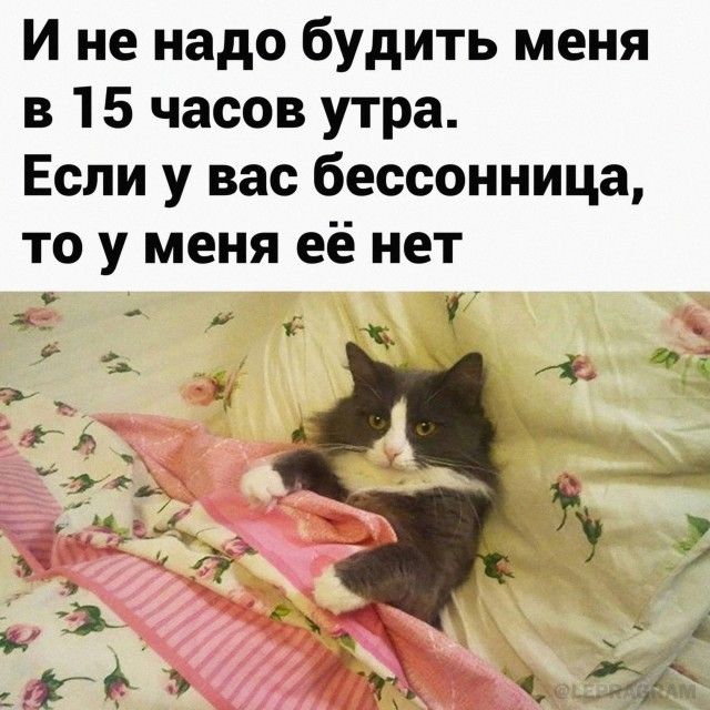 И не надо будить меня в 15 часов утра.
Если у вас бессонница, то у меня её нет.