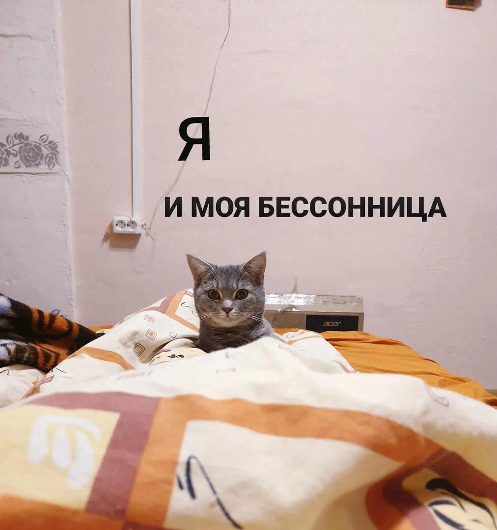Я И МОЯ БЕССОННИЦА