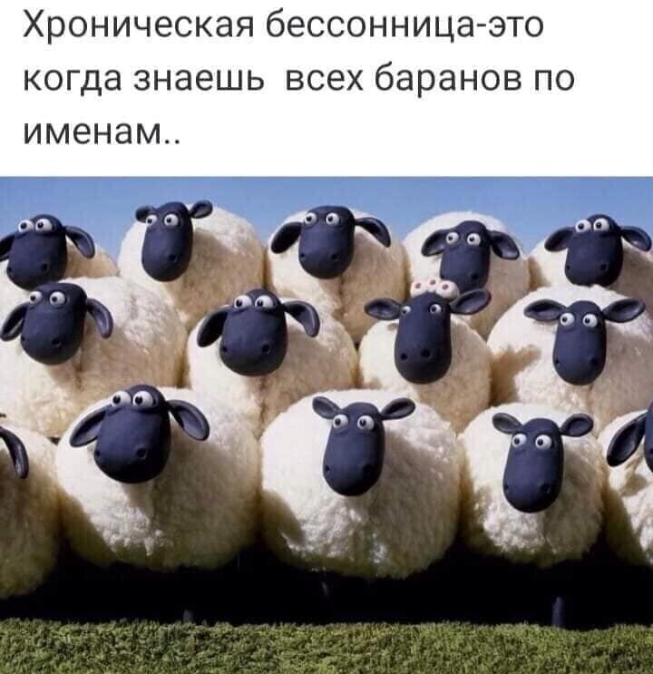Хроническая бессонница-это когда знаешь всех баранов по именам..