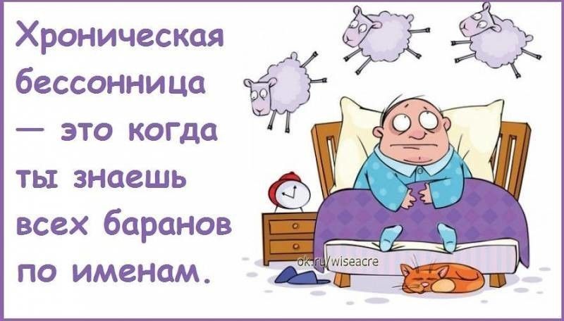 Хроническая бессонница — это когда ты знаешь всех баранов по именам.