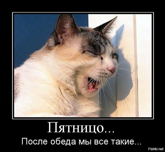 Пятница...
После обеда мы все такие...