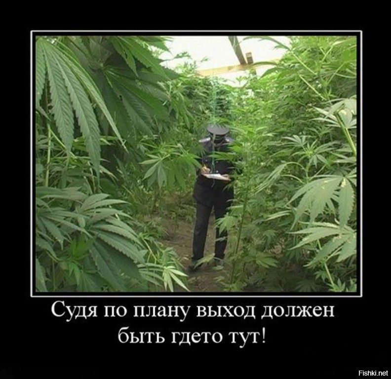 Судя по плану выход должен быть где-то тут!