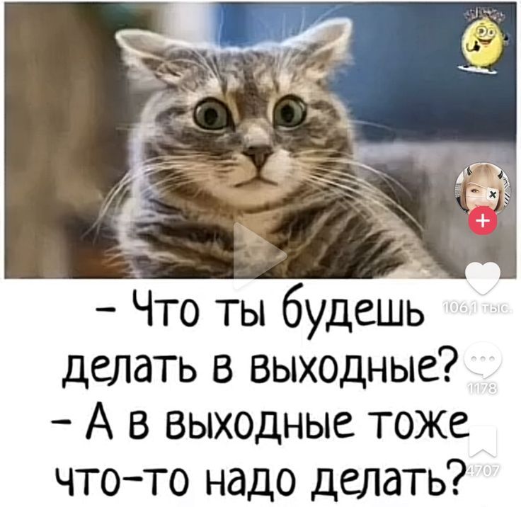 - Что ты будешь делать в выходные?
- А в выходные тоже что-то надо делать?