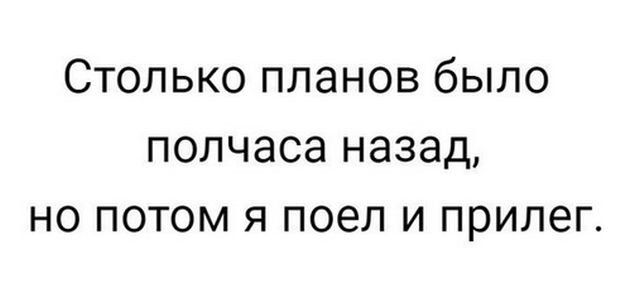 Столько планов было полчаса назад, но потом я поел и прилег.