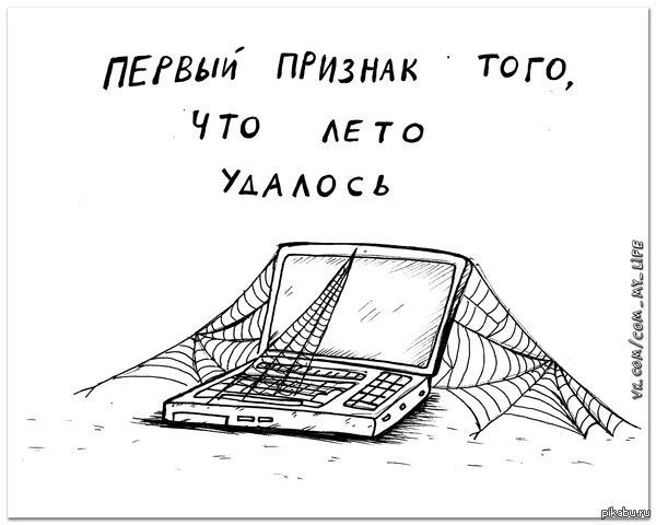 ПЕРВЫЙ ПРИЗНАК ТОГО, ЧТО ЛЕТО УДАЛОСЬ