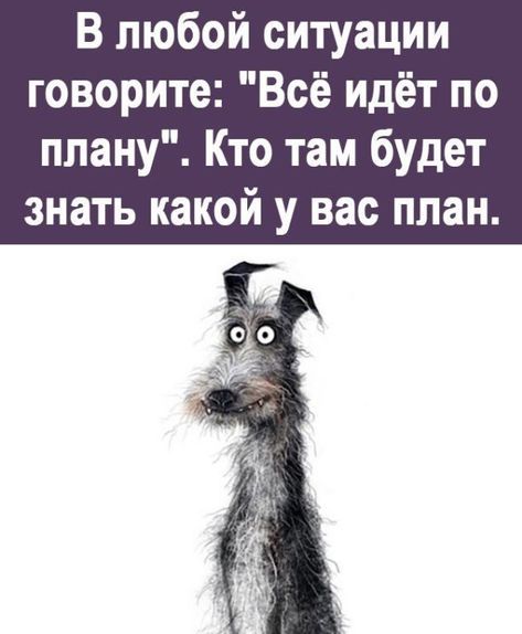 В любой ситуации говорите: 