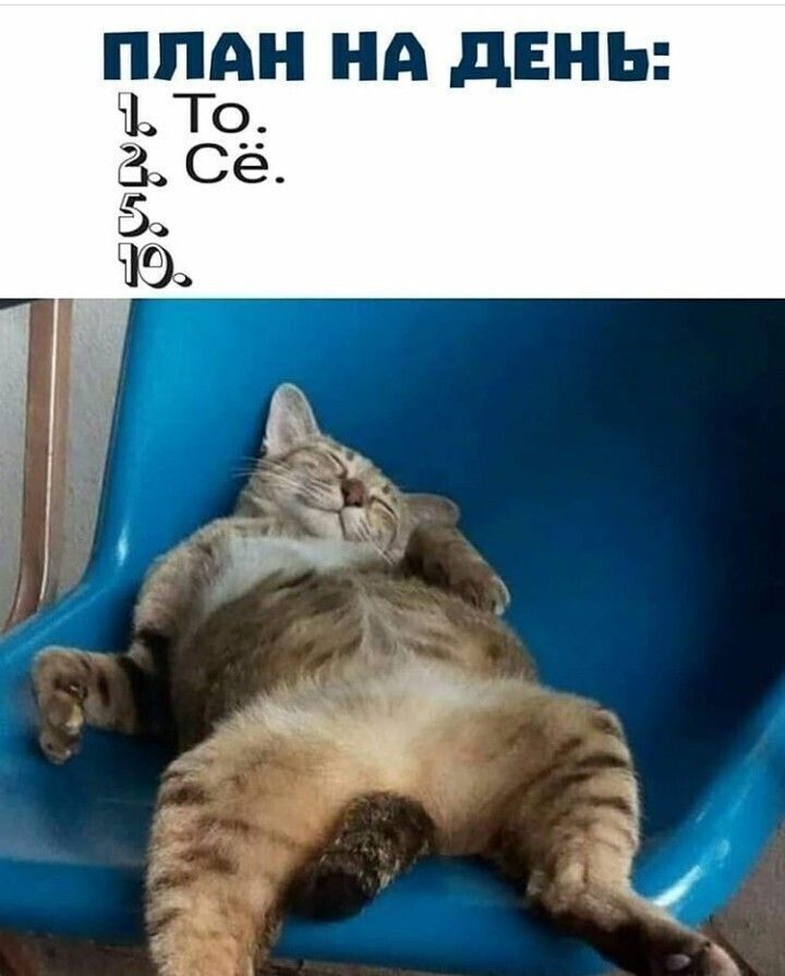 ПЛАН НА ДЕНЬ:
1. То.
2. Сё.
5.
10.