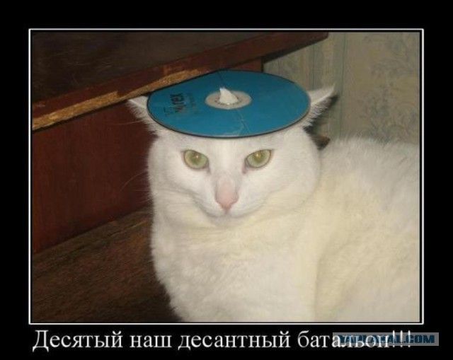 Десятый наш десантный батальон!!!