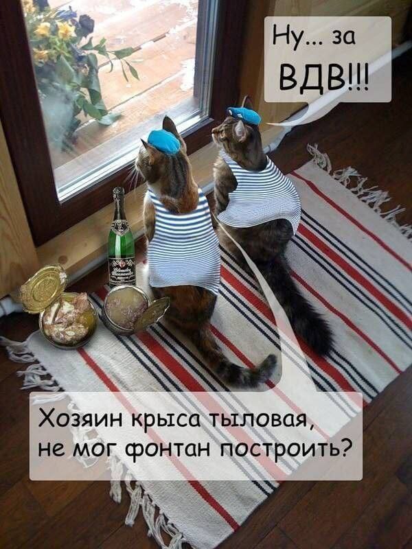 Ну... за ВДВ!!! Хозяин крыса тыловая, не мог фонтан построить?