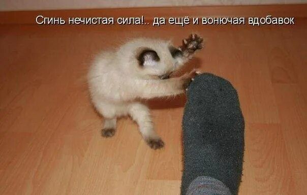 Сгинь нечистая сила!.. да еще и вонючая вдобавок