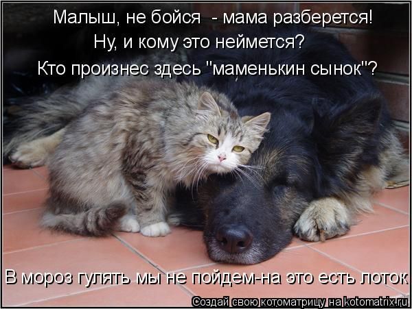 Малыш, не бойся - мама разберется! Ну, и кому это неймется? Кто произнесет здесь 