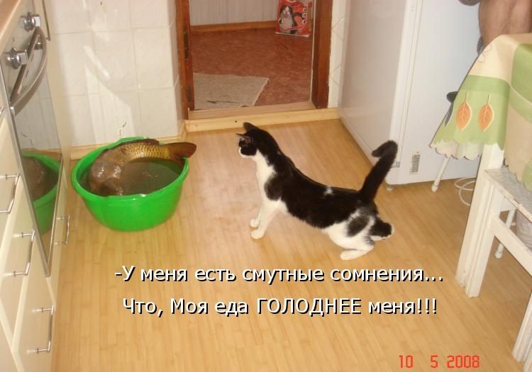 -У меня есть смутные сомнения... Что, Моя еда ГОЛОДНЕЕ меня!!!