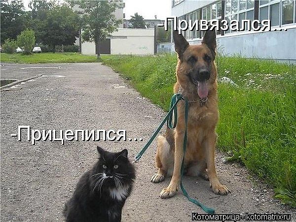 Привязался... - Прицепился...