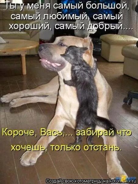 Ты у меня самый большой, самый любимый, самый хороший, самый добрый.... Короче, Вас,... забирай что хочешь, только отстань.