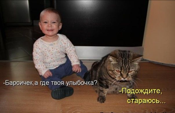 -Барсичек, а где твоя улыбочка?
-Подождите, стараюсь…