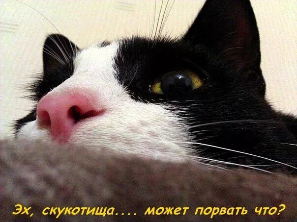 Эх, скукотища.... может порвать что?
