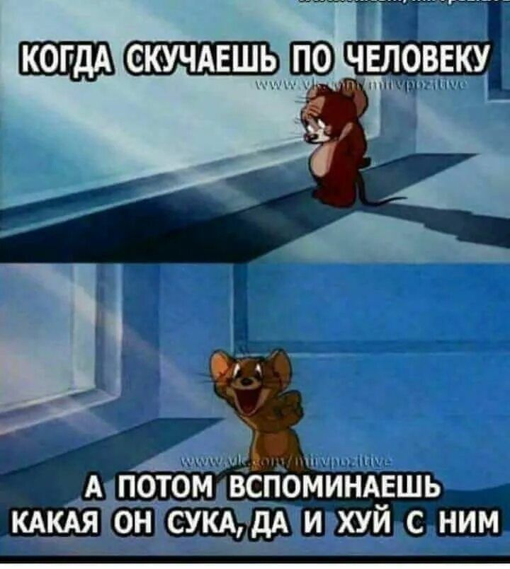 КОГДА СКУЧАЕШЬ ПО ЧЕЛОВЕКУ
А ПОТОМ ВСПОМИНАЕШЬ
КАКАЯ ОН СУКА, ДА И ХУЙ С НИМ