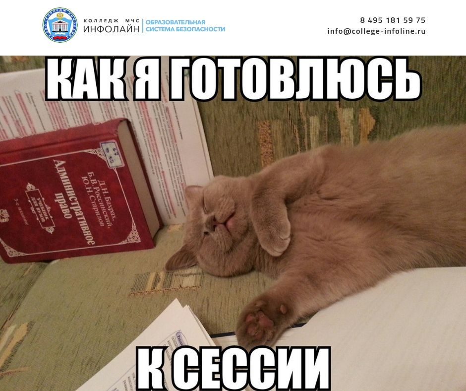 Как я готовлюсь к сессии