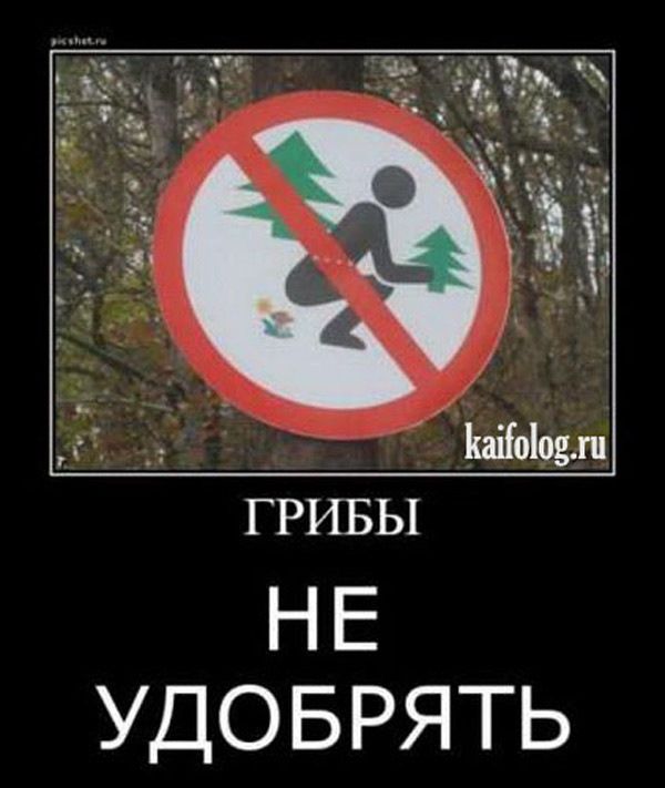 ГРИБЫ
НЕ УДОБРЯТЬ