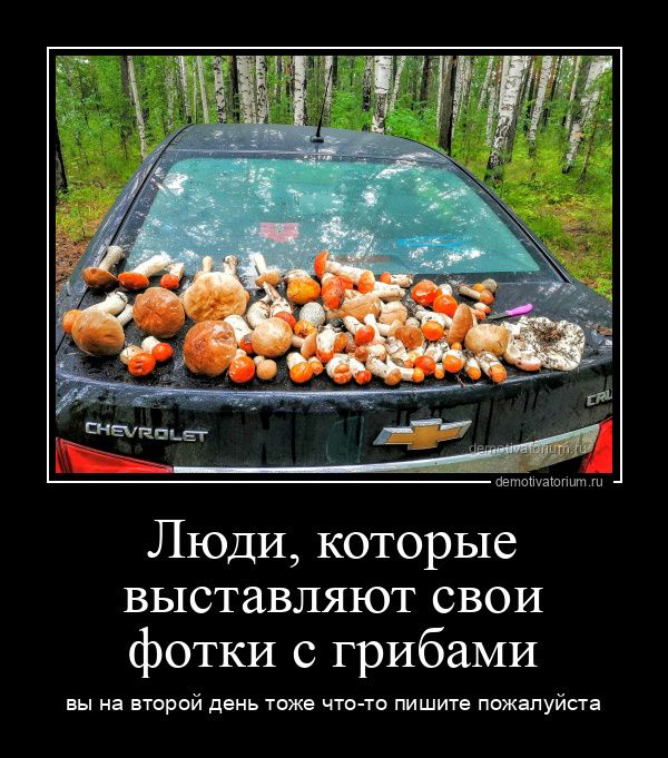 Люди, которые выставляют свои фотки с грибами
вы на второй день тоже что-то пишите пожалуйста
