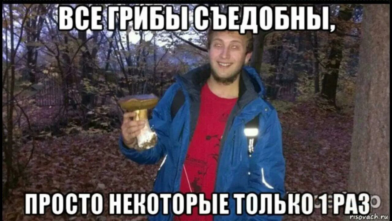 ВСЕ ГРИБЫ СЪЕДОБНЫ, ПРосто некоторые только 1 РАЗ
