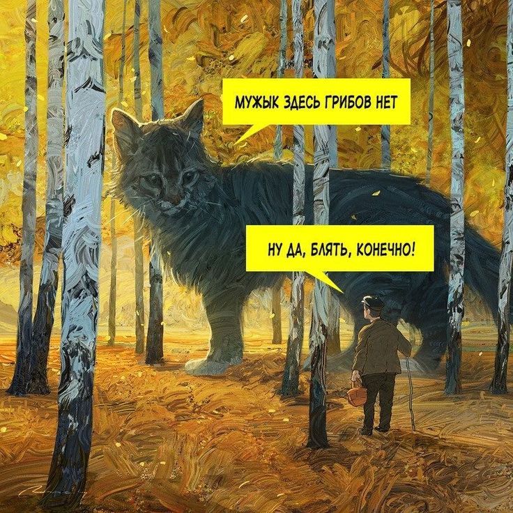 Мужык здесь грибов нет. Ну да, блять, конечно!