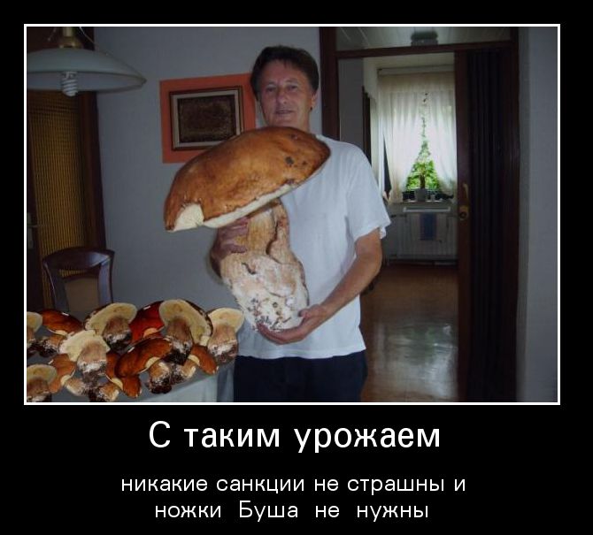 С таким урожаем
никакие санкции не страшны и ножки Буша не нужны