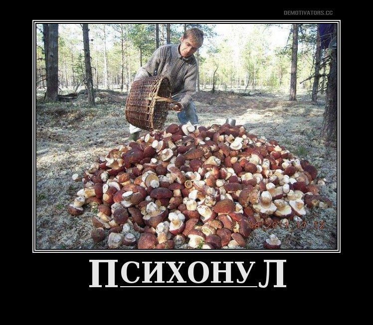 ПСИХОНУЛ
