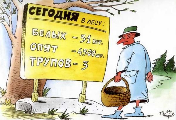 СЕГОДНЯ в ЛЕСУ:
БЕЛЫХ – 51 шт.
ОПЯТЬ – 4500 шт.
ТРУПОВ – 3