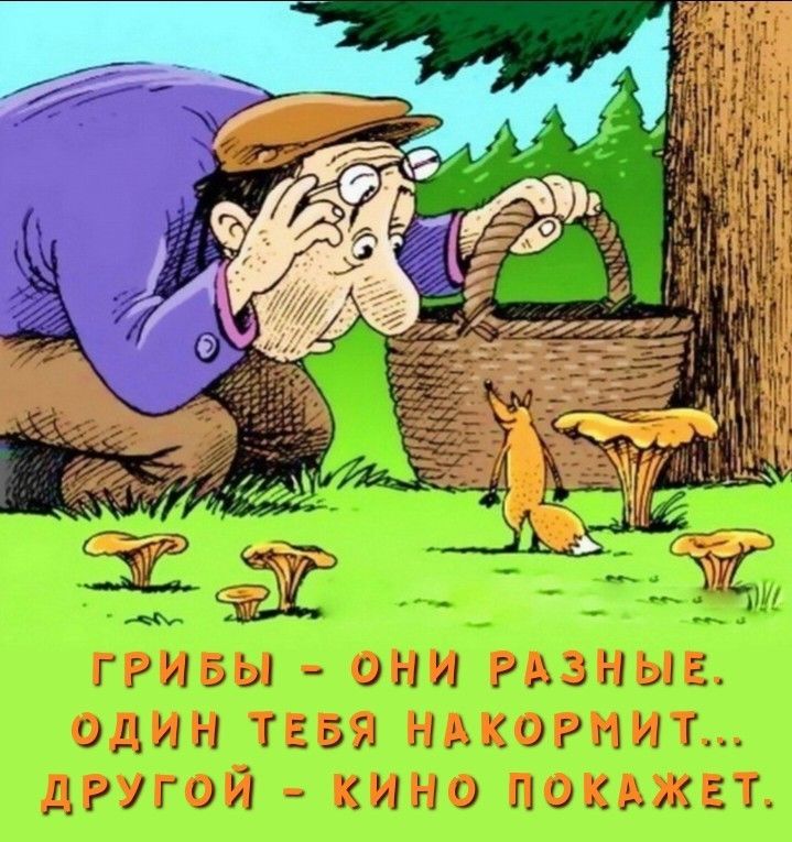 Грибы - они разные. Один тебя накормит... Другой - кино покажет.