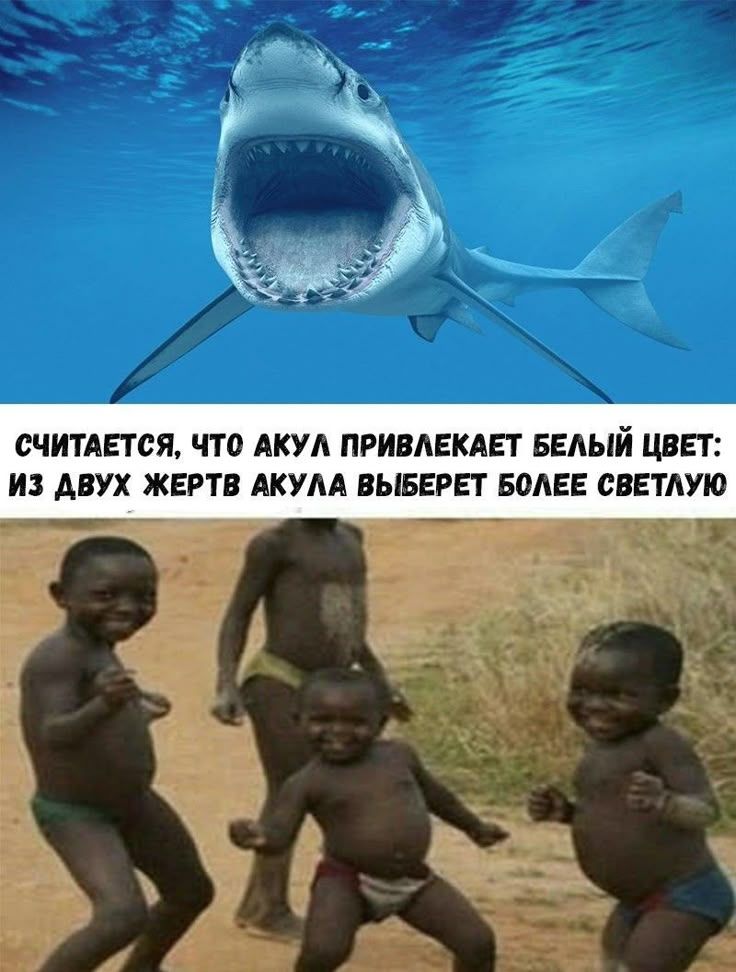 СЧИТАЕТСЯ, ЧТО АКУЛ ПРИВЛЕКАЕТ БЕЛЫЙ ЦВЕТ: ИЗ ДВУХ ЖЕРТВ АКУЛА ВЫБЕРЕТ БОЛЕЕ СВЕТЛУЮ