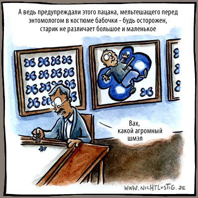 А ведь предупреждали этого пацана, мельтешащего перед энтомологом в костюме бабочки – будь осторожен, старик не различает большое и маленькое
Вах, какой огромный шмель