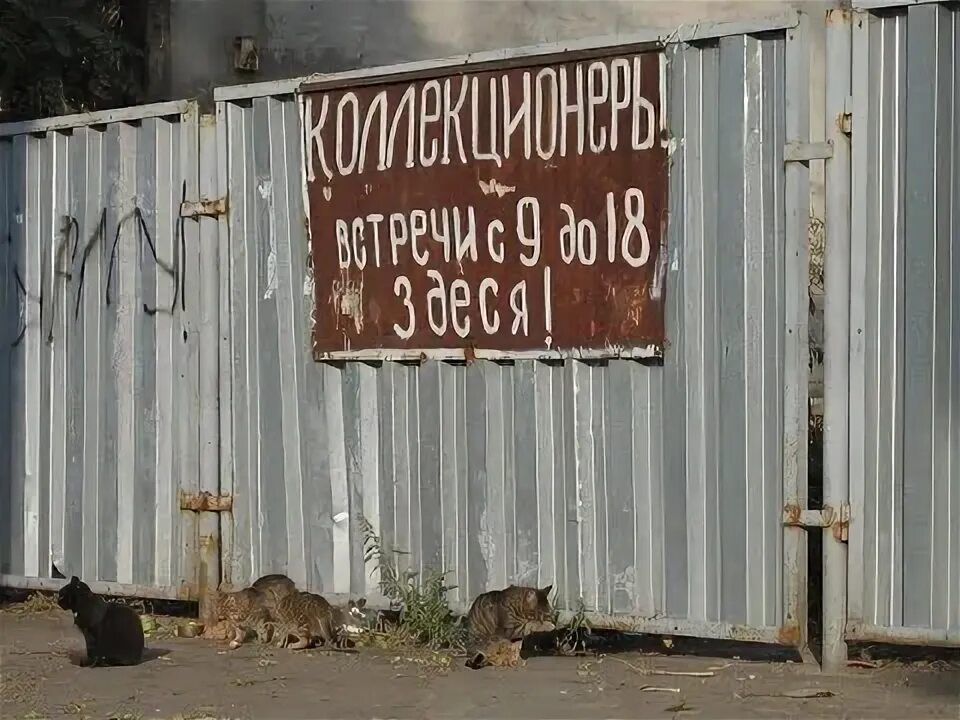 коллекционеры встречи с 9 до 18 здесь!