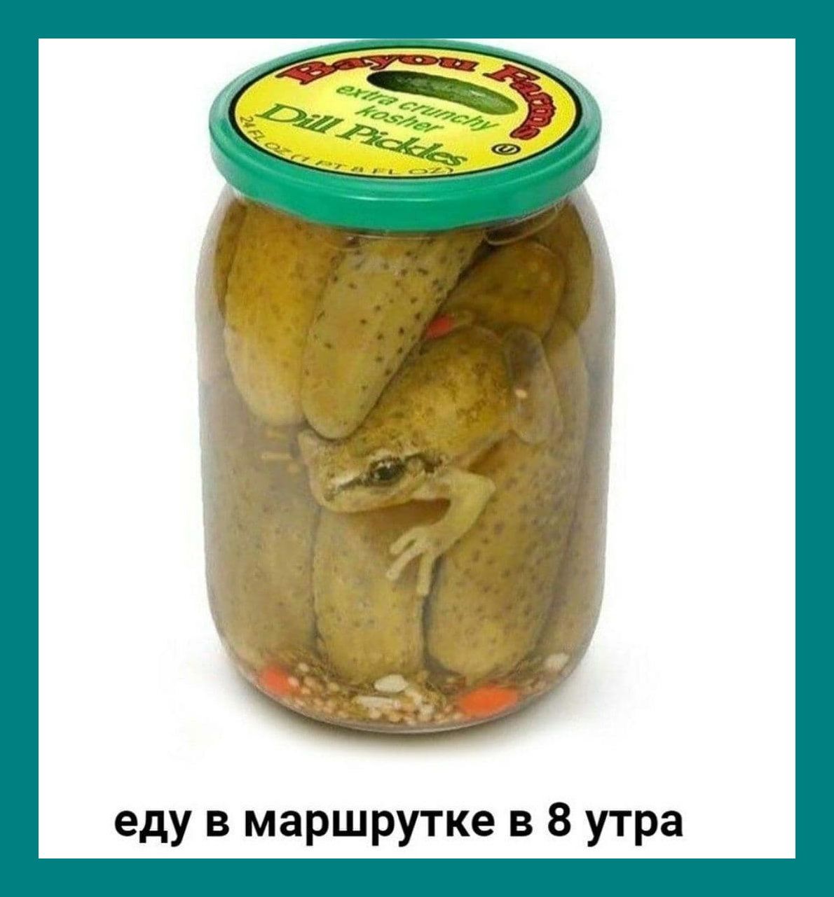 еду в маршрутке в 8 утра