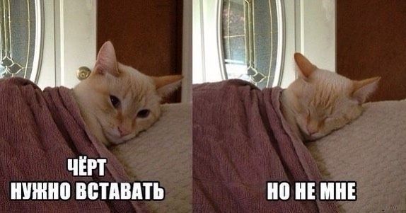ЧЁРТ НУЖНО ВСТАВАТЬ
НО НЕ МНЕ