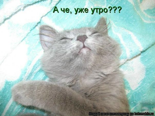 А че, уже утро???