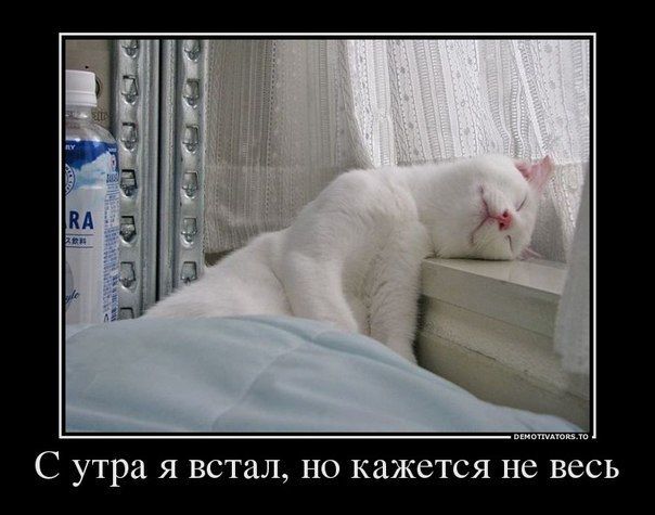 С утра я встал, но кажется не весь