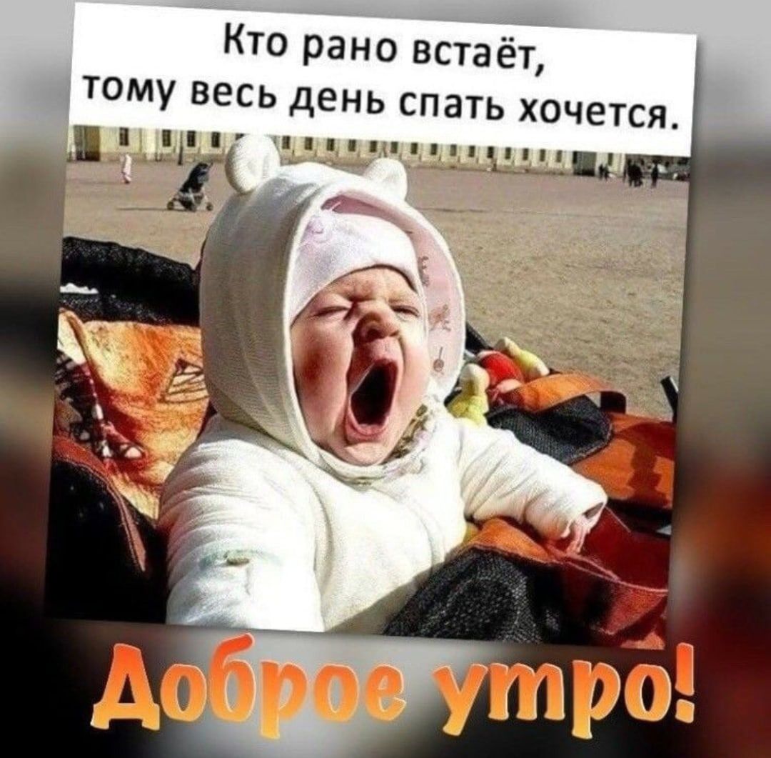 Кто рано встает, тому весь день спать хочется.
Доброе утро!